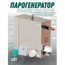 Steamtec TOLO KEY 60 - 6 кВт (ВЛАГОСТОЙКИЙ модуль управления), парогенератор для хамама и турецкой бани